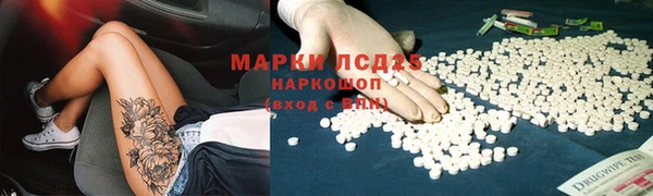 стафф Алзамай