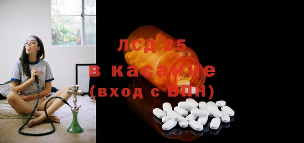 стафф Алзамай