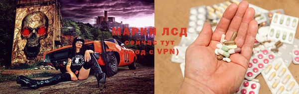 стафф Алзамай
