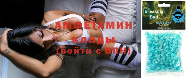 стафф Алзамай